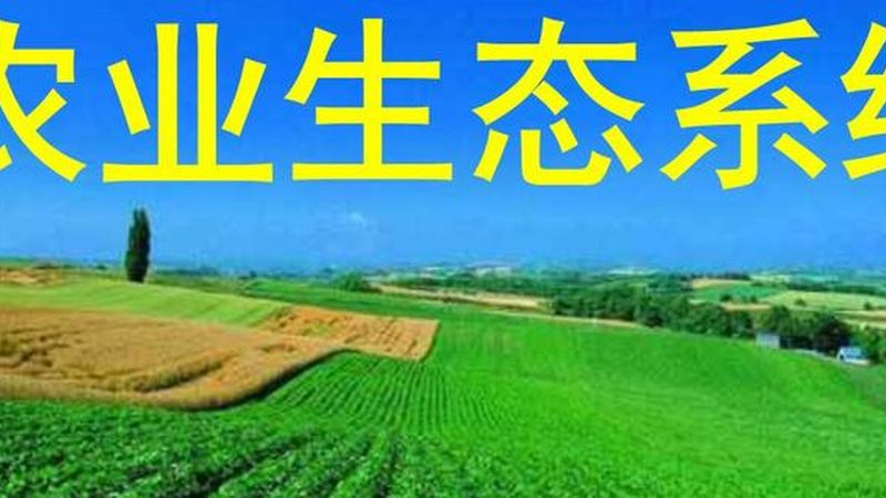 現(xiàn)代農(nóng)業(yè)種植技術(shù)培訓加盟：開啟高效農(nóng)業(yè)新篇章**