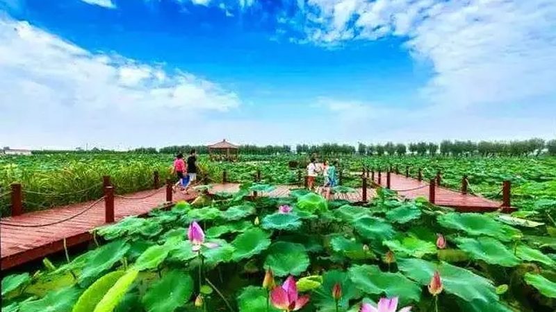 農(nóng)資批發(fā)與零售，有何不同？**