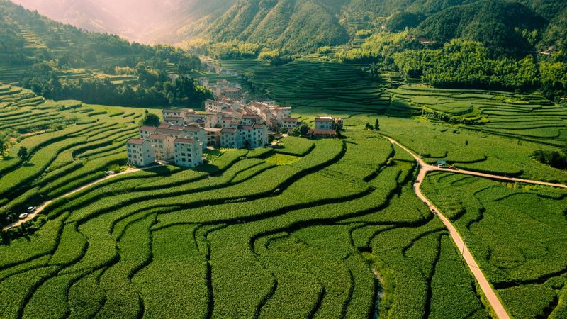 家庭農(nóng)場智能溫室：造價(jià)預(yù)算背后的考量因素**