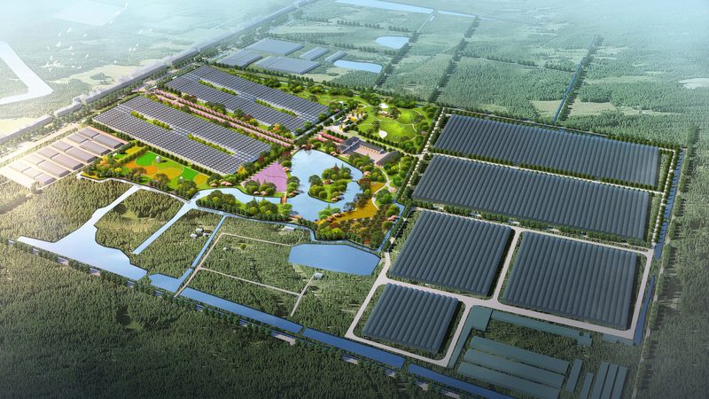 水果批發(fā)市場稅收優(yōu)惠申請(qǐng)方法解析