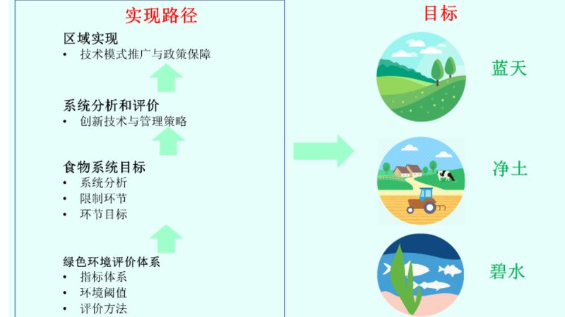 蔬菜配送價格計算公式：揭秘成本構(gòu)成與定價策略**