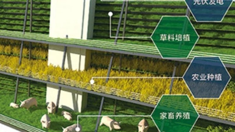 加盟農(nóng)業(yè)種植公司，先看清這五個關(guān)鍵門檻