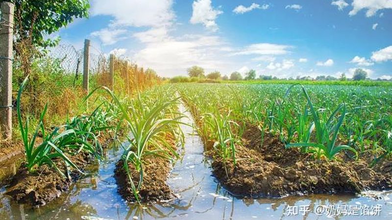 小型農業(yè)項目風險評估，如何規(guī)避潛在風險？**