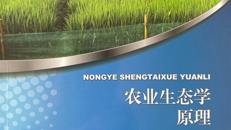 農(nóng)批市場供應(yīng)鏈管理規(guī)范：構(gòu)建高效流通體系的基石**