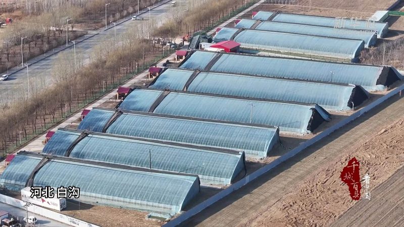 2024農(nóng)業(yè)項目品牌排行：揭秘行業(yè)新趨勢**