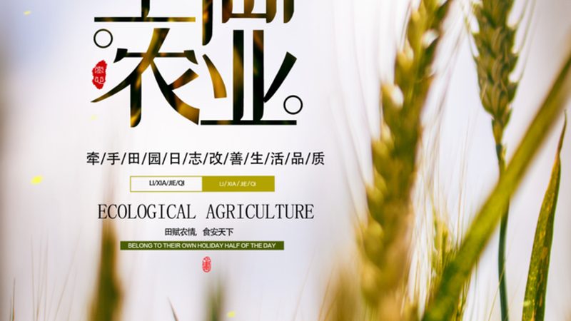 有機(jī)蔬菜種子哪個(gè)牌子好